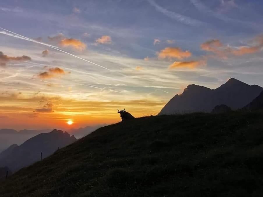 Alpenperle Apartment Isenthal Bagian luar foto