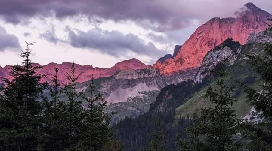 Alpenperle Apartment Isenthal Bagian luar foto